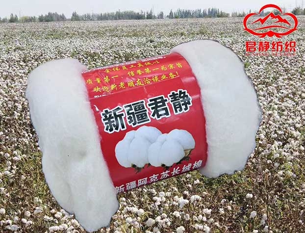 新疆棉花