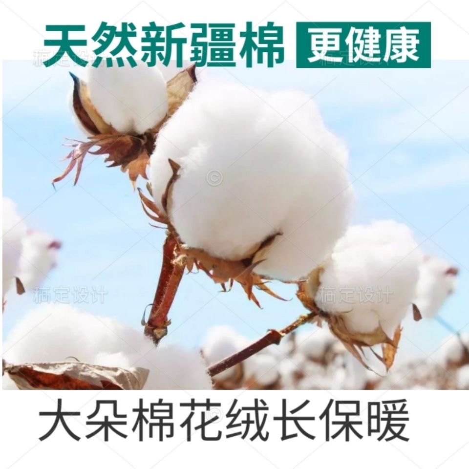 新疆棉花